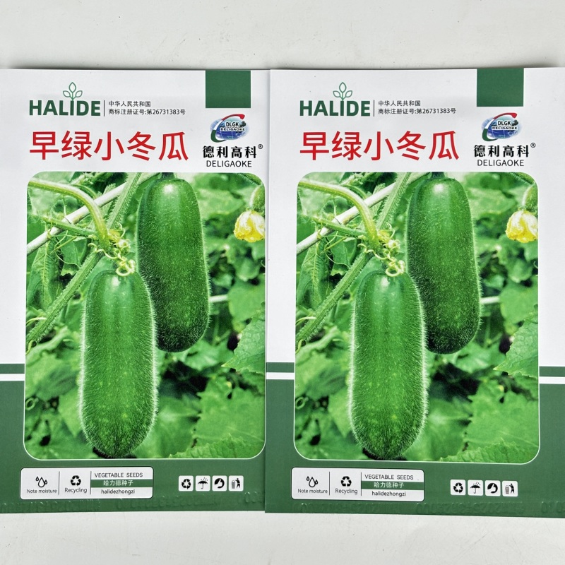 早绿小冬瓜种子毛冬瓜小节瓜迷你水果冬瓜早熟高产四季播蔬菜