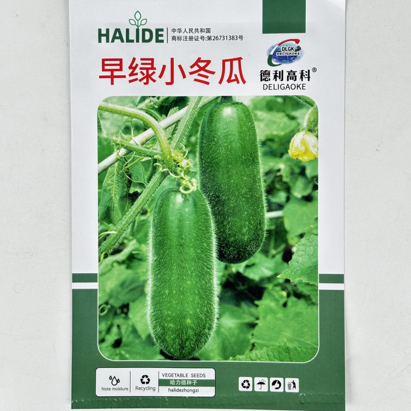 早绿小冬瓜种子毛冬瓜小节瓜迷你水果冬瓜早熟高产四季播蔬菜