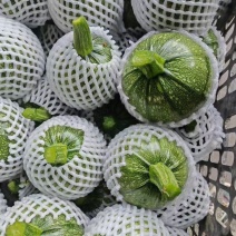 花皮南瓜5~8两扁圆形。质量好。基本都是好货。