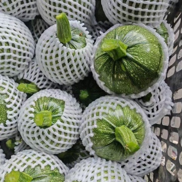 花皮南瓜5~8两扁圆形。质量好。基本都是好货。