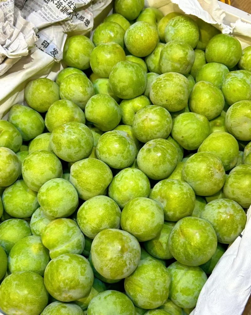 三月李广西李子（一手货源）量大价优，规格齐全可视频看货