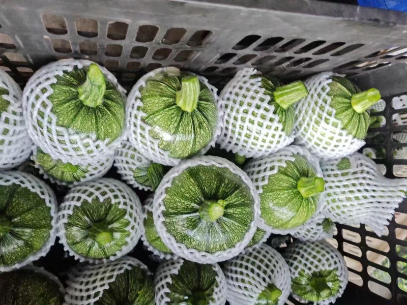 花皮南瓜5~8两扁圆形。质量好。基本都是好货。