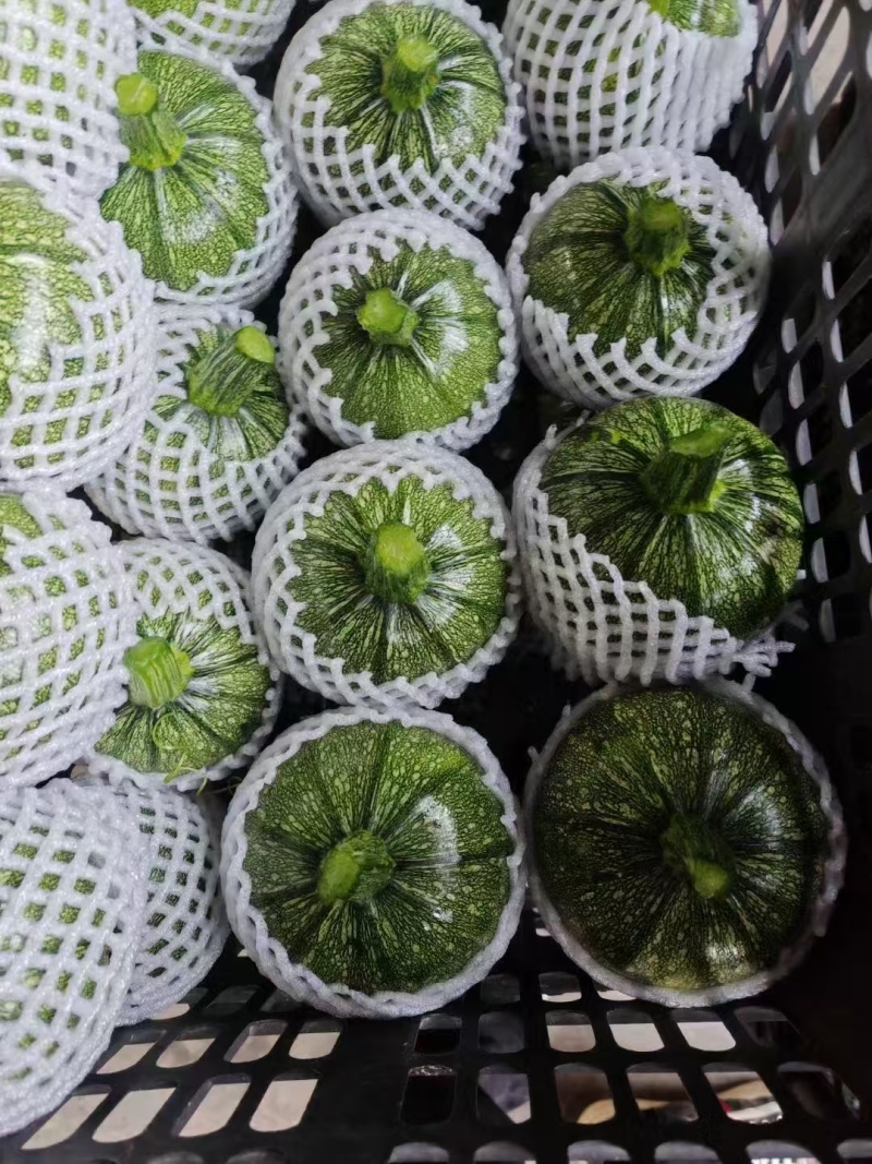 花皮南瓜5~8两扁圆形。质量好。基本都是好货。