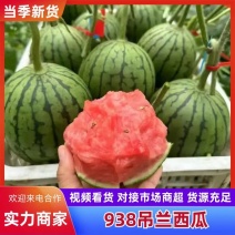 蒲城吊兰西瓜，全美2k西瓜，吊篮西瓜，手剥小西瓜