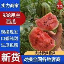 陕西蒲城938吊兰西瓜，吊篮西瓜，小糖丸小西瓜，2k西瓜