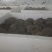 【推荐】河北鲜平菇量大从优基地直发直发对接商超团购供应
