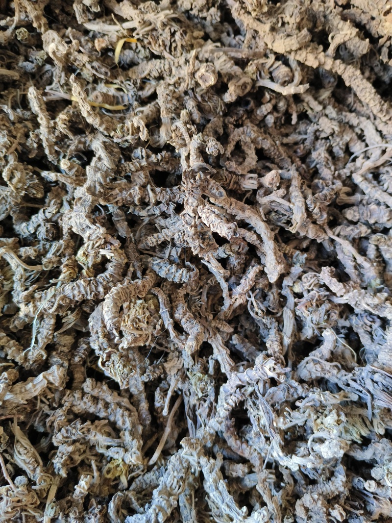 蜘蛛香光货毛货