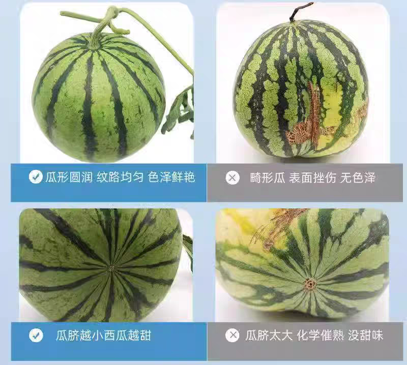 夏邑麒麟西瓜大量上市，产地直销，欢迎致电咨询，质量无忧。