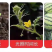 夏邑麒麟西瓜大量上市，产地直销，欢迎致电咨询，质量无忧。