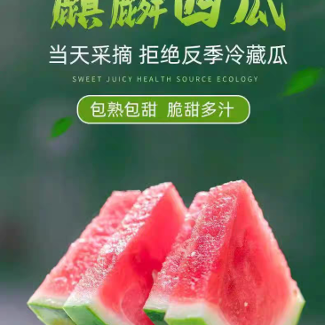 夏邑麒麟西瓜大量上市，产地直销，欢迎致电咨询，质量无忧。