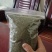 吴茱萸，晒干无硫。枝条处理，需要的联系
