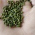 吴茱萸，晒干无硫。枝条处理，需要的联系