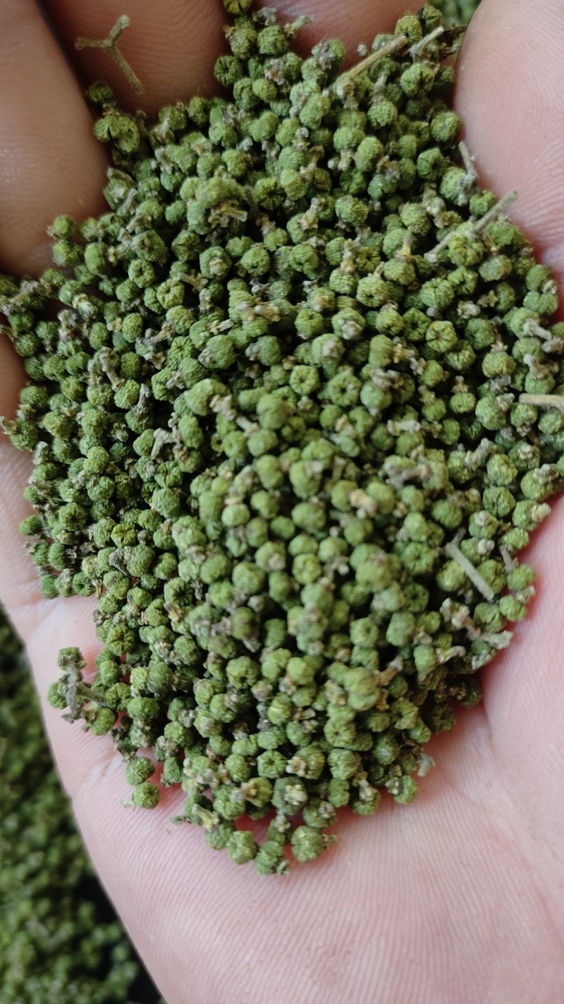 吴茱萸，晒干无硫。枝条处理，需要的联系