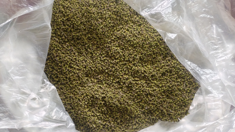 吴茱萸，晒干无硫。枝条处理，需要的联系