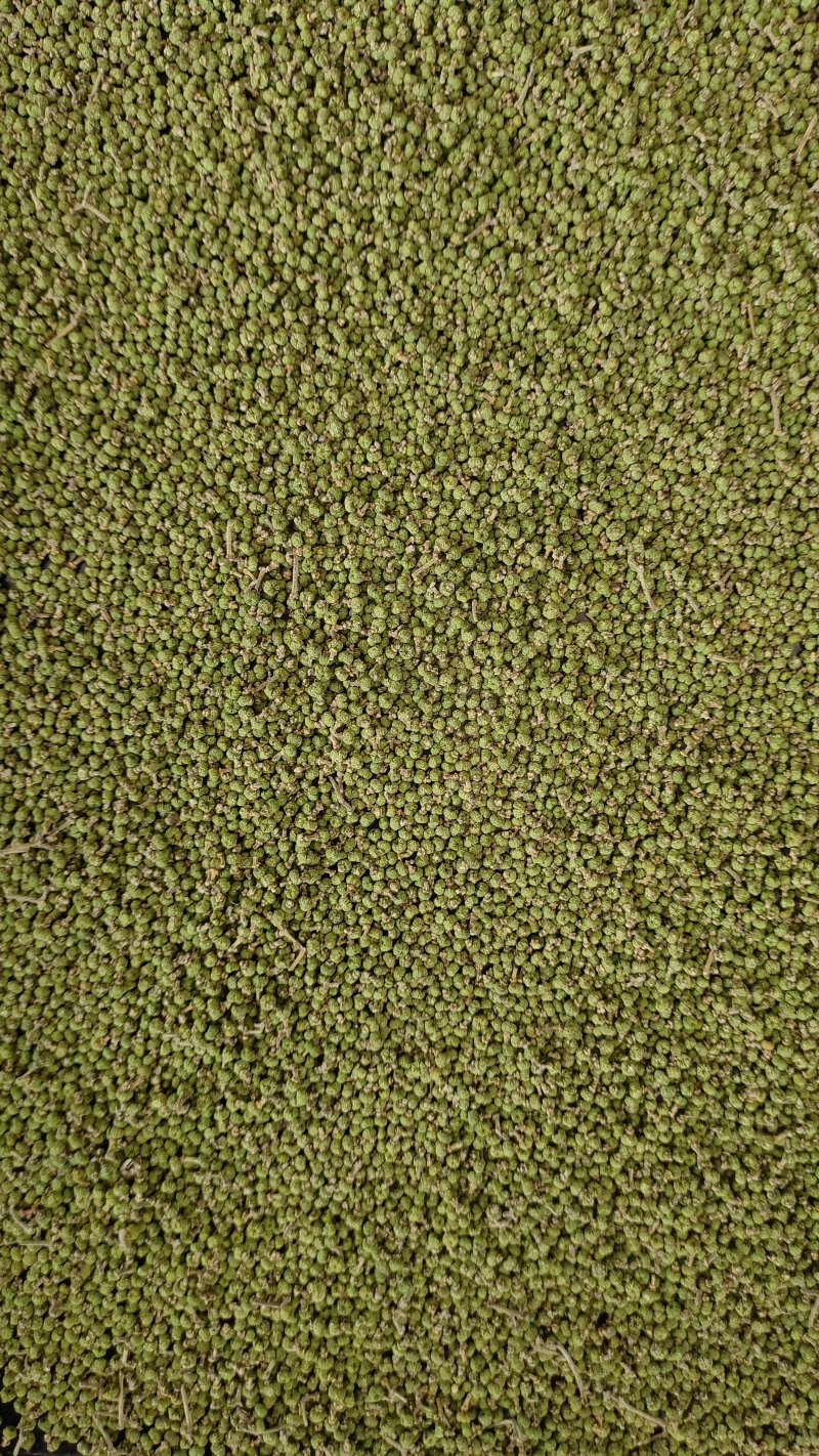 吴茱萸，晒干无硫。枝条处理，需要的联系