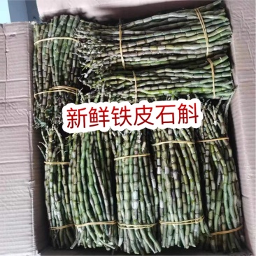 新鲜石斛地摊批发电商铁皮石斛紫皮石斛新鲜石斛条枫斗条