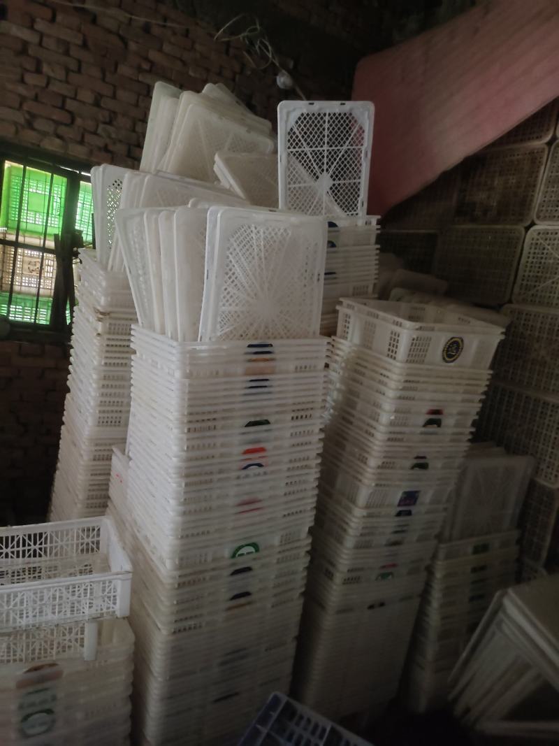 周转框一千多，桂园框六七百。都是完好能正常使用。