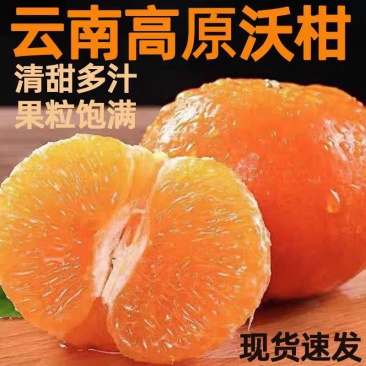 云南沃柑一件代发价，新鲜水果整箱9斤净重现摘超甜沃柑包邮