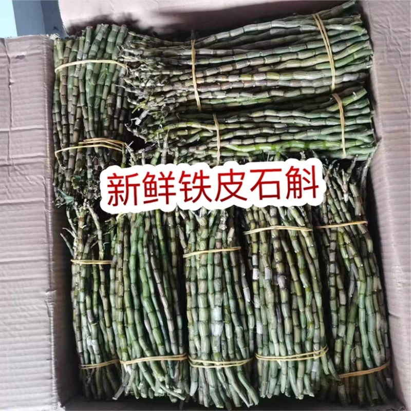 新鲜石斛地摊电商批发铁皮石斛紫皮石斛条枫斗条