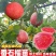 红心芭乐新鲜水果冰淇淋红心番石榴奶油芭巴乐软糯胭脂红番石