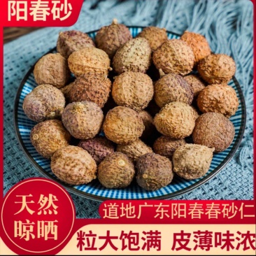 阳春砂仁精选优质晒干煲汤无硫皮薄味浓当年新货