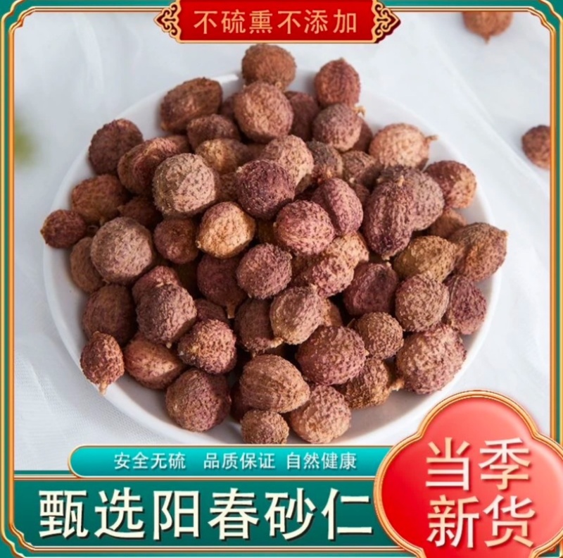 阳春砂仁精选优质晒干煲汤无硫皮薄味浓当年新货