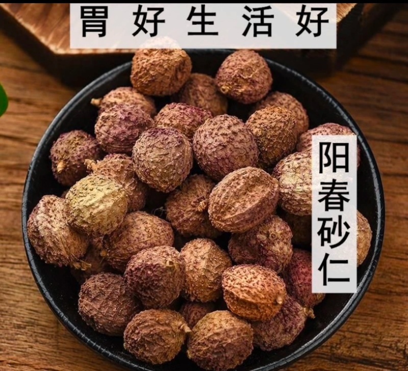 阳春砂仁精选优质晒干煲汤无硫皮薄味浓当年新货