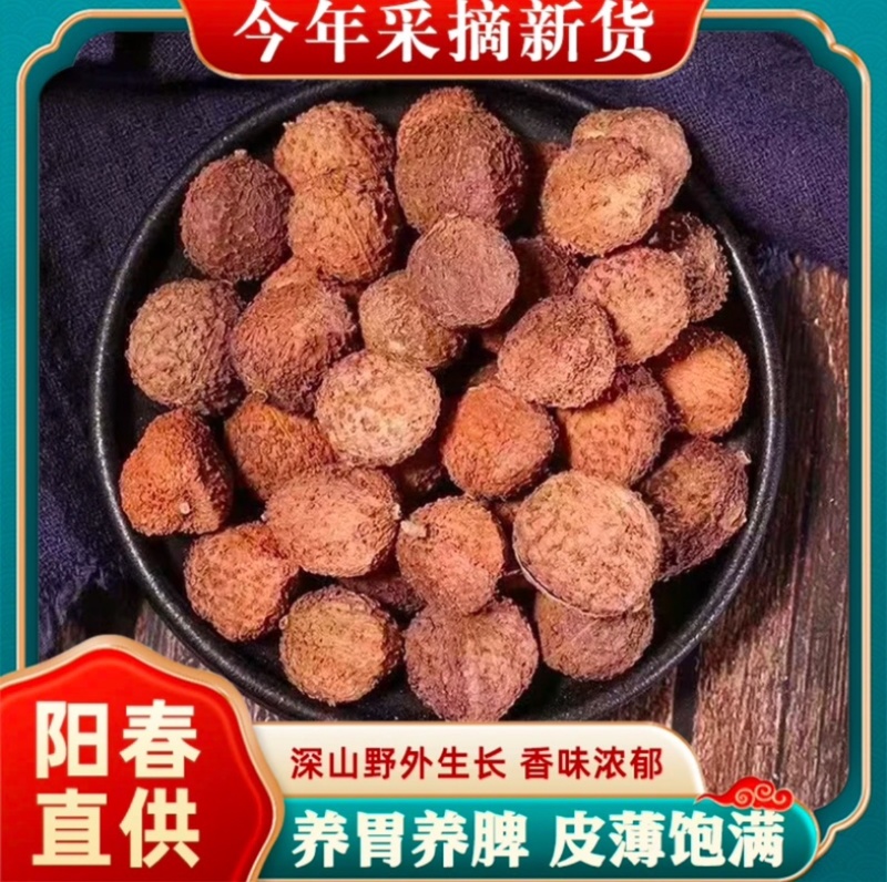 阳春砂仁精选优质晒干煲汤无硫皮薄味浓当年新货