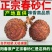 阳春砂仁精选优质晒干煲汤无硫皮薄味浓当年新货