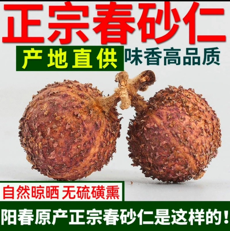 阳春砂仁精选优质晒干煲汤无硫皮薄味浓当年新货