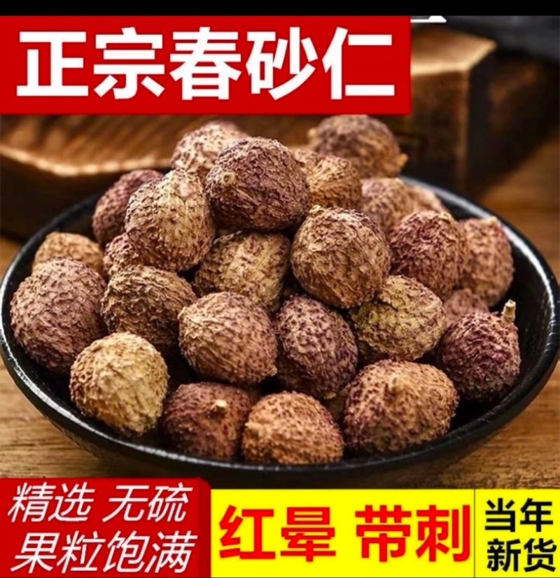 阳春砂仁精选优质晒干煲汤无硫皮薄味浓当年新货
