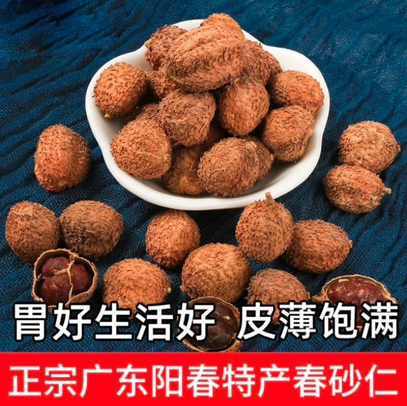 阳春砂仁精选优质晒干煲汤无硫皮薄味浓当年新货