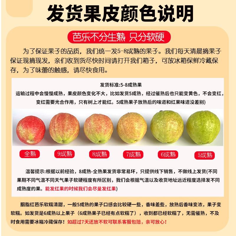 胭脂红番石榴红心芭乐鸡屎果新鲜应季孕妇
