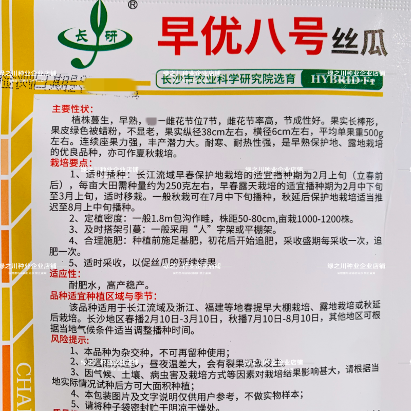 早熟丝瓜种子春润早优八号丝瓜种子耐寒耐热高产农科院种子
