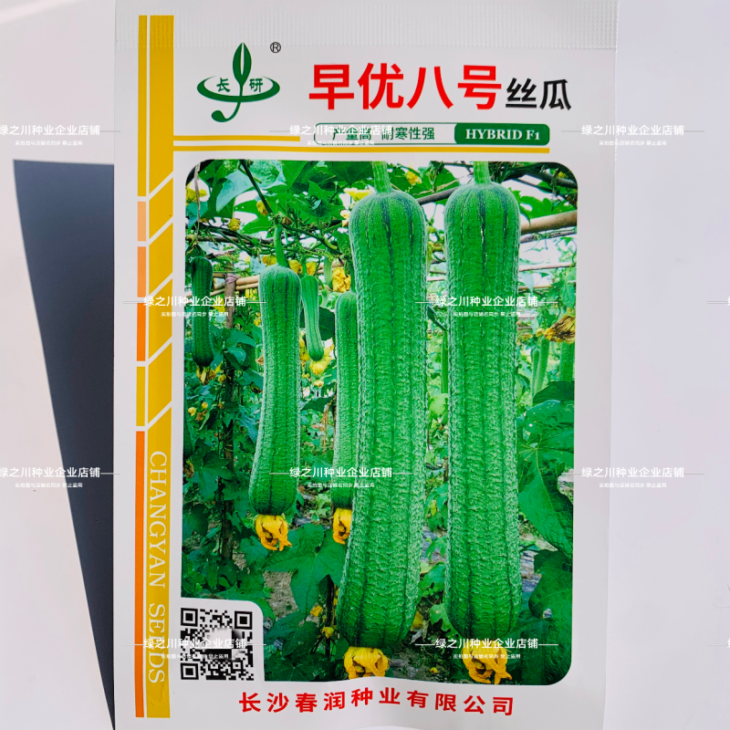 早熟丝瓜种子春润早优八号丝瓜种子耐寒耐热高产农科院种子