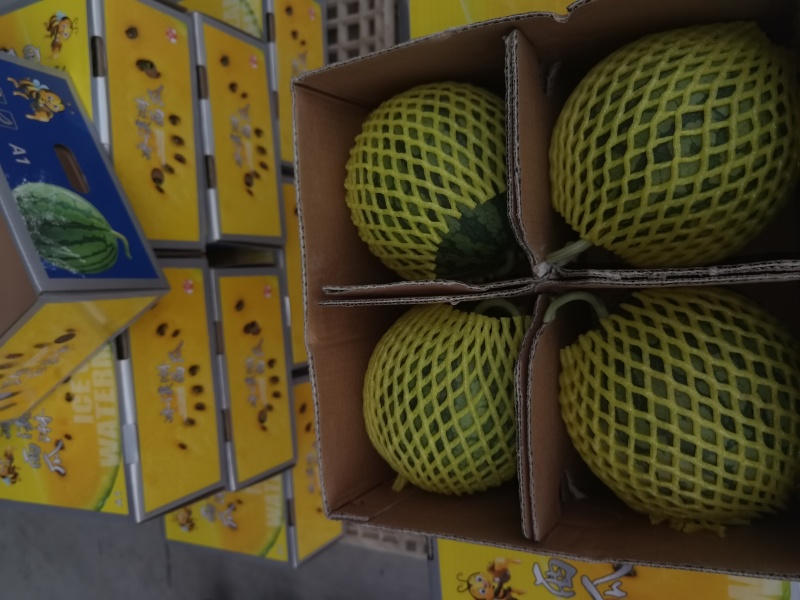 西瓜/东台特小凤西瓜/东台8424西瓜/特小凤西瓜/4k/