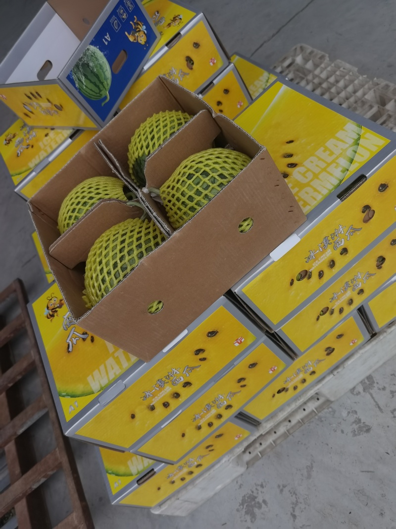西瓜/东台特小凤西瓜/东台8424西瓜/特小凤西瓜/4k/