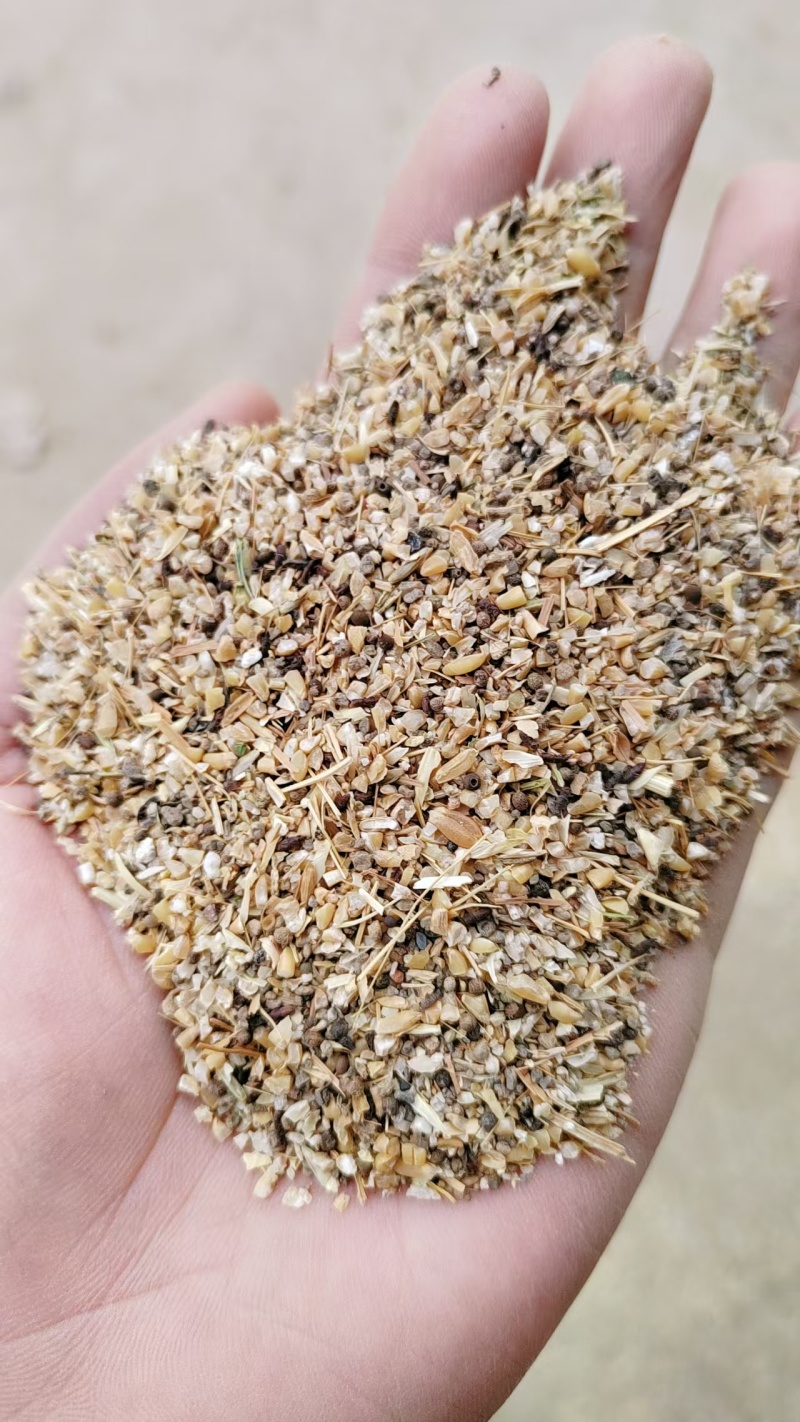 小麦下脚料草籽麦