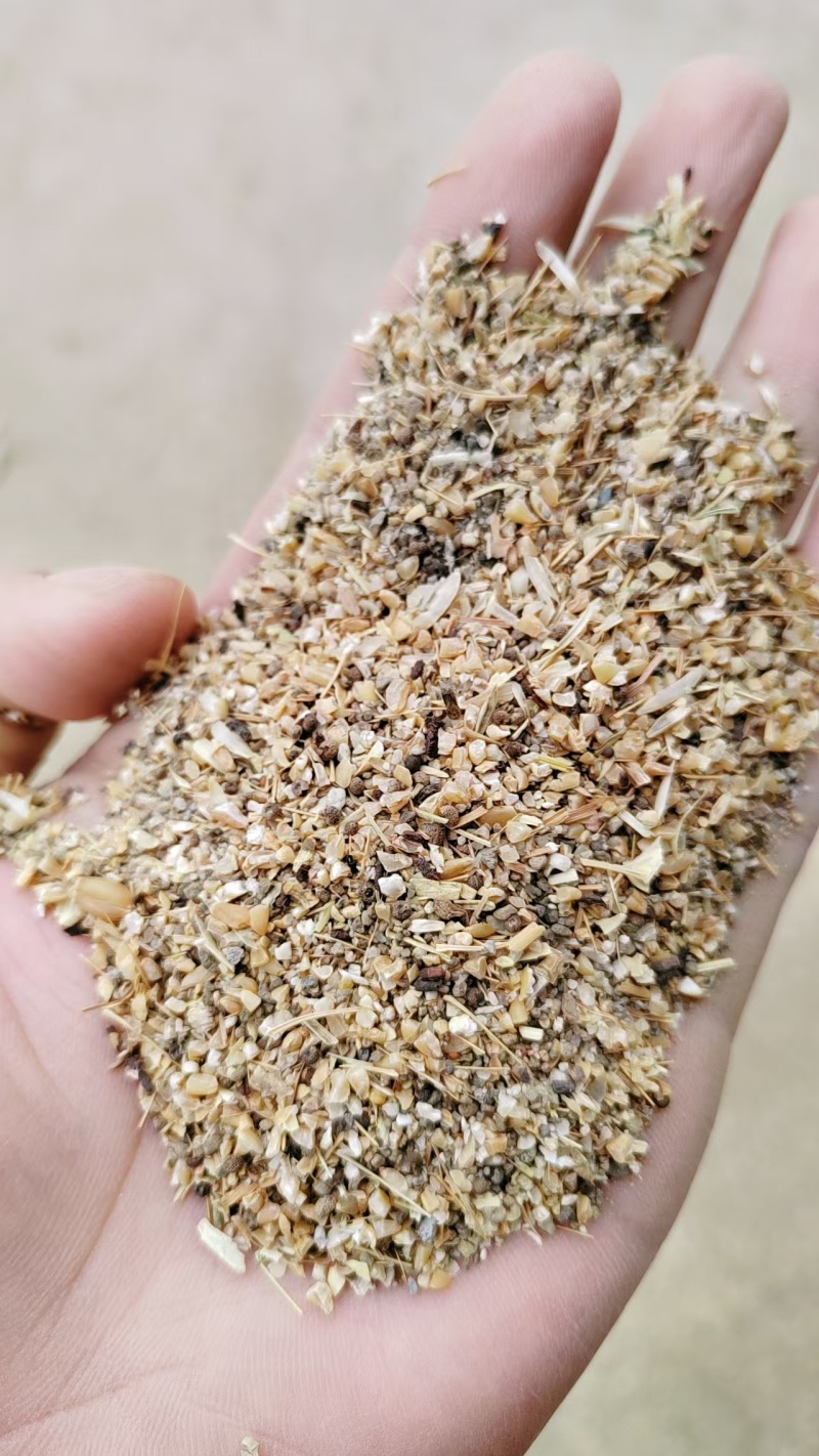 小麦下脚料草籽麦