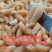树蜂1级蛹，纯1级，熟冻，葫芦蜂，量大，广州发全国