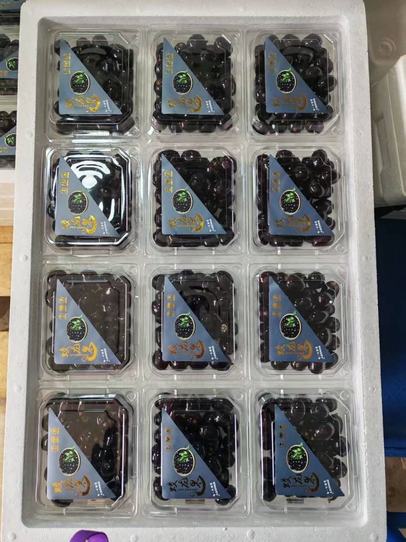 蛟龙果产地货源充足现采现摘精品包装欢迎电话联系