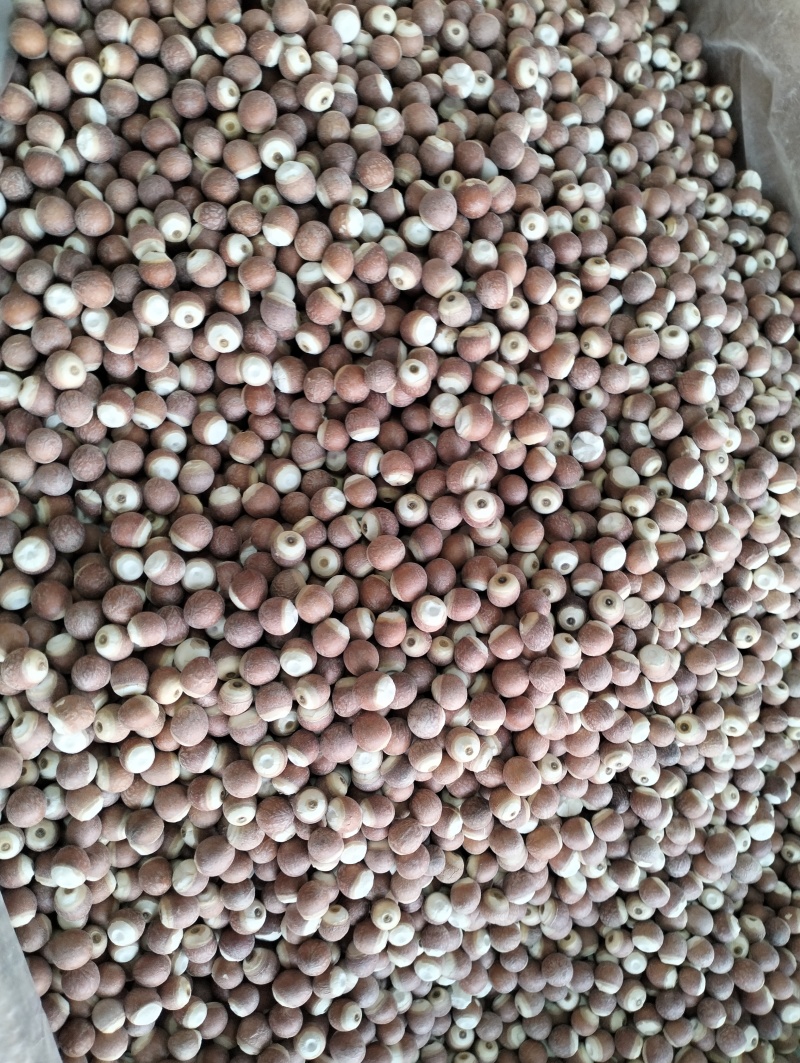 芡实