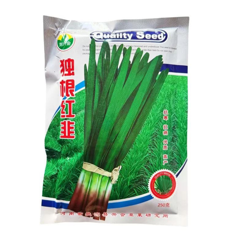 独根红韭菜品种，种子250克装