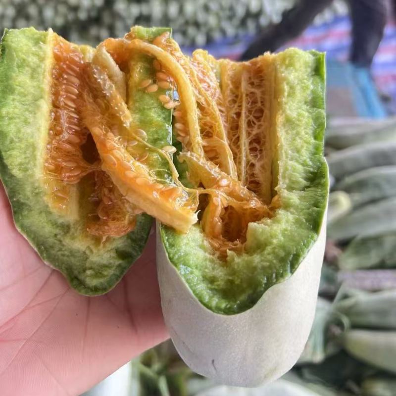羊角蜜甜瓜（山东甜瓜）产地直供一手货源脆甜多汁