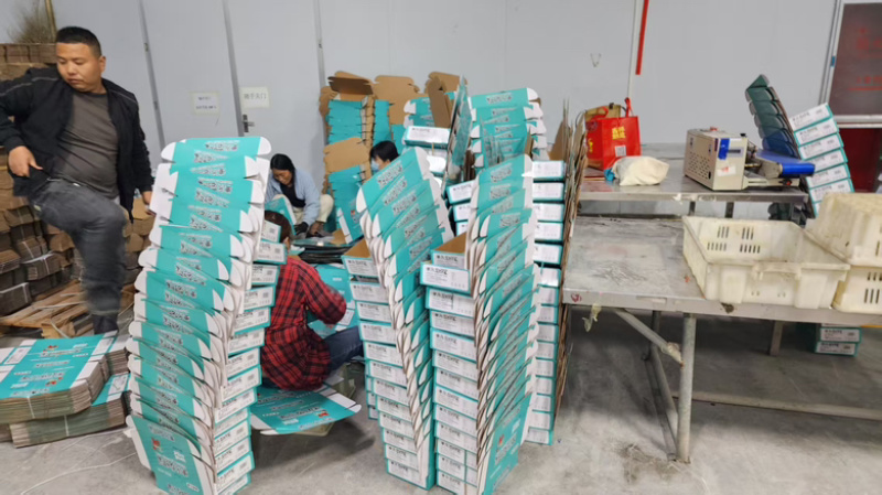 精品礼盒3斤装带料包，正品品质团购爆品常年龙虾尾供应