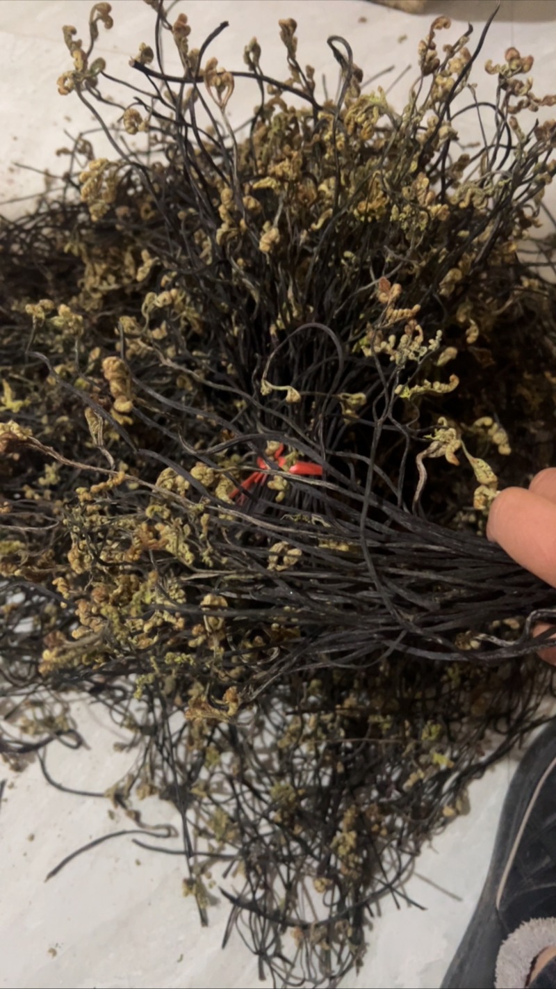 干蕨菜农家菜野生蕨菜干货新鲜龙爪菜猫爪菜
