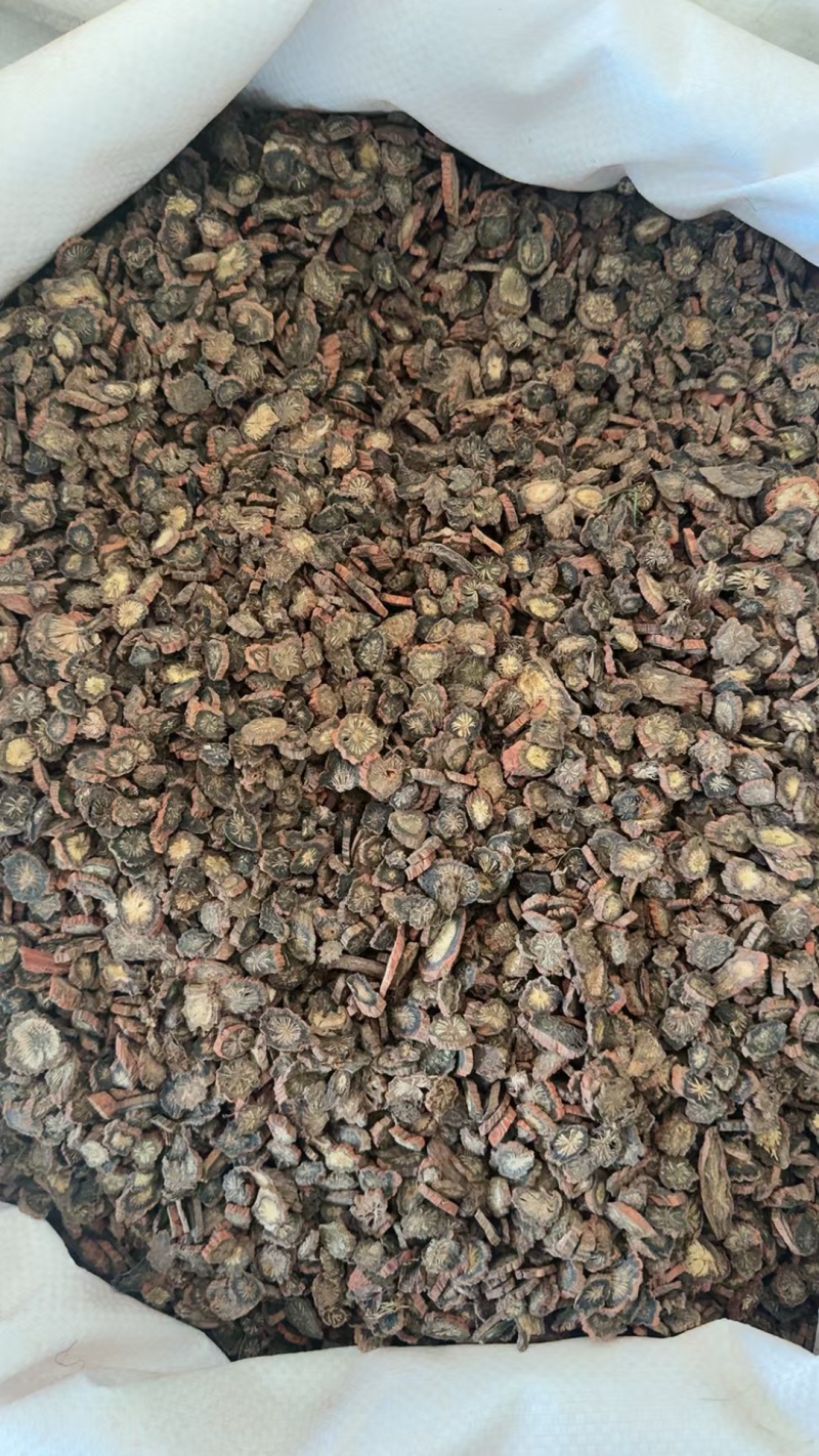 红皮丹参紫皮丹参多种规格统装选装