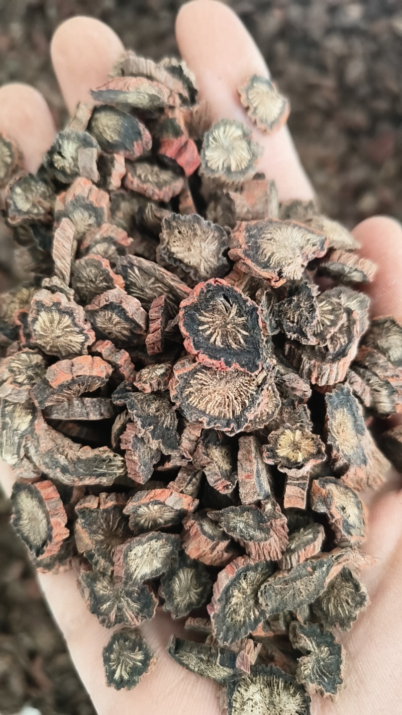 红皮丹参紫皮丹参多种规格统装选装