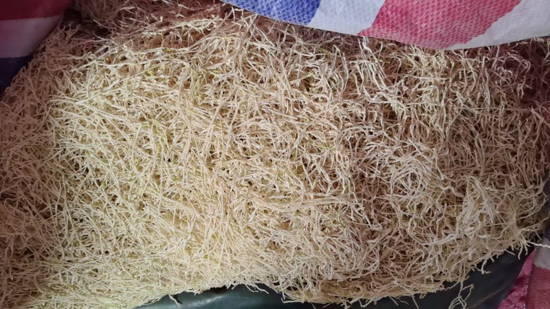 带皮萝卜丝萝卜条