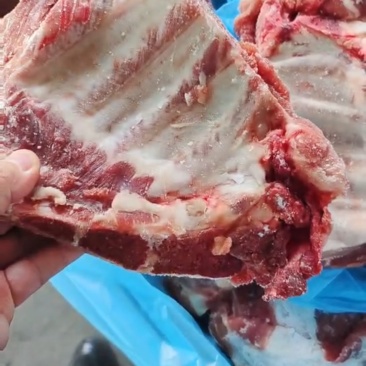 多肉小排，品质无需多言，**到货，实拍，现货30吨